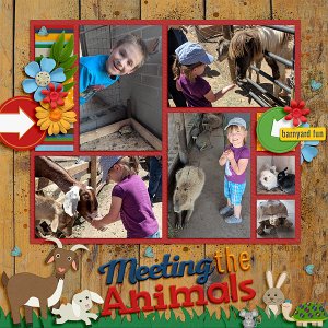 Meeting the Animals