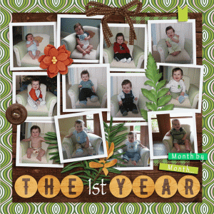 The 1st Year