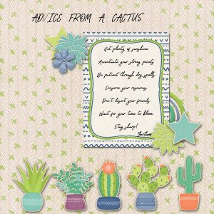 Cactus Advice