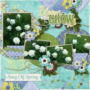 Song of Spring