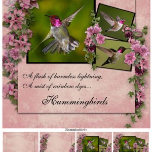 Hummingbirds