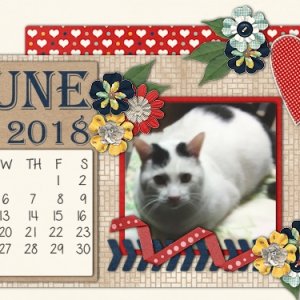 June 2018 Desktop