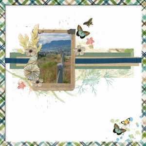 The Fence Line