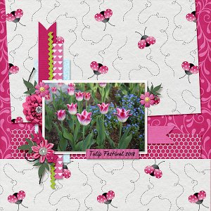 Tulips
