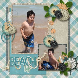 360 Life All about June by Aimee Harrison