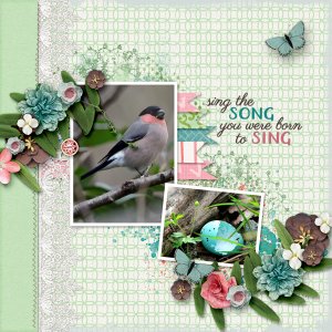Songbird