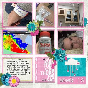 Week 19 May 6 to 12 2018