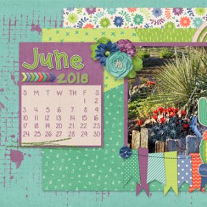 June Desktop