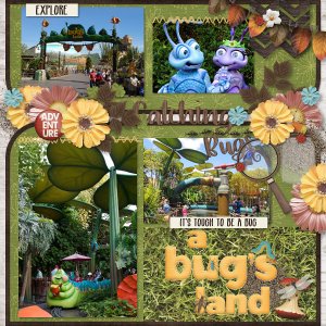Catching Bugs - A Bug's Land