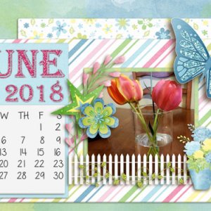 HZ_May2018_DesktopChallenge-lindsay-jane-springintheair