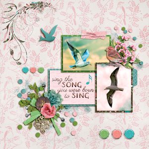 Sing-the-Song