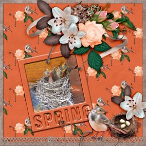 Spring-babies
