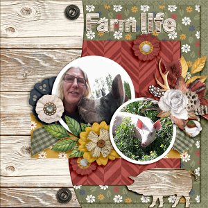 Farm-life1