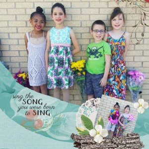Sing Your Song