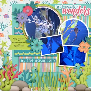 Underwater Wonders