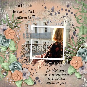 Collect-beautiful-moments2