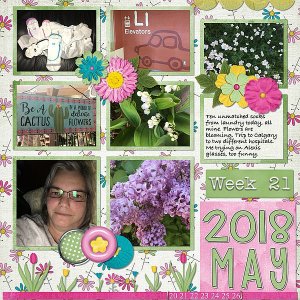 Week 21 May 20 to 26 2018
