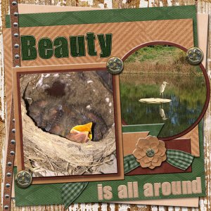Rugged - Beauty Is All Around