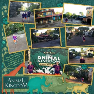 2016 Animal Kingdom