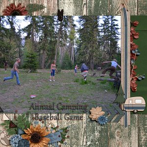 Camping Baseball
