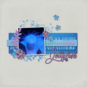 Jellyfish