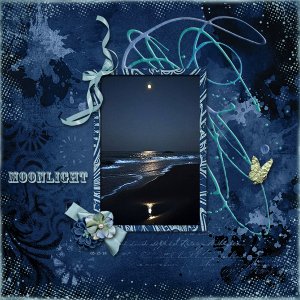 Coastal Moonlight