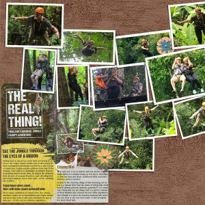 Flight of the Gibbons Page 1