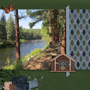 Pine Song 2