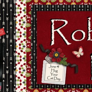 Robin's Nest