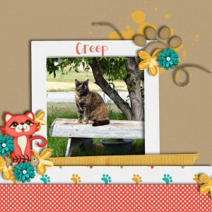 Creep the Cat