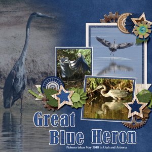 great_blue_heron_manly_blend
