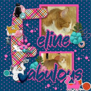 Feline Fabulous