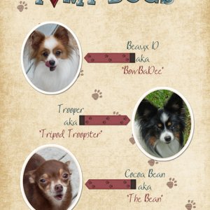 I Love My Dogs