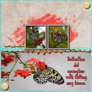 Love of Butterflies