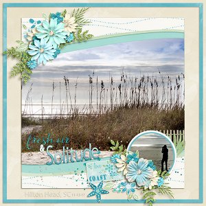 fresh air and Solitude- Hilton Head