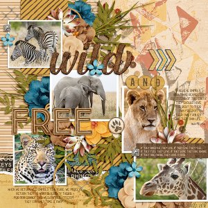wild and free