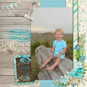 LindsayJaneDesigns_Coastal_Sept2017_copy