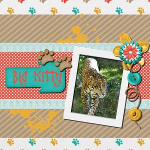 Big Kitty