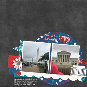 D.C. Trip