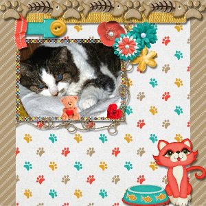 My wonderful cat, Mitzy