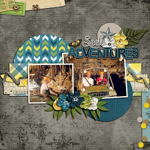 Seek Adventures