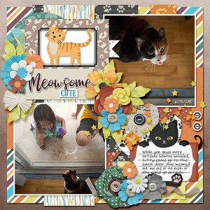 2015-06-30-meowsomecute_sm