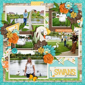 Swans of France