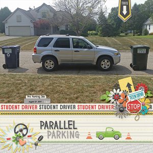 Parallel Parking