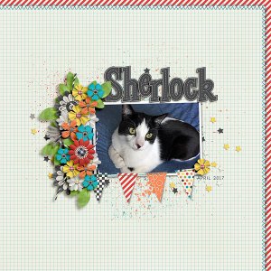 sherlock