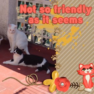 2018-06-Mini-Kit-Challenge