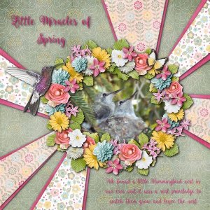 June Scraplift Challenge