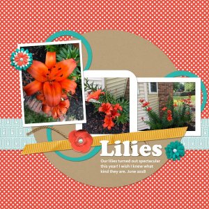 Lilies