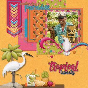 Tropical Tweets - BGD