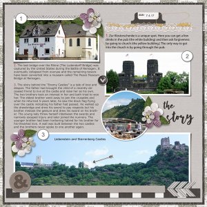 Rhine River Castles